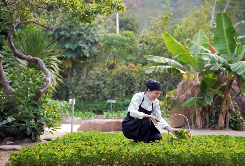 Sustainability at Six Senses Ninh Van Bay